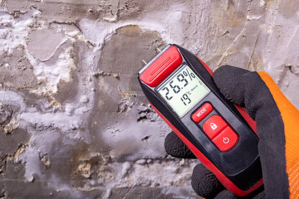 Best Mold Testing  in Holdrege, NE